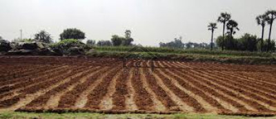 Khanpur Road-Cash Generating Investment - A Fruit Farm - Agricultural Land For Sale In Taxila