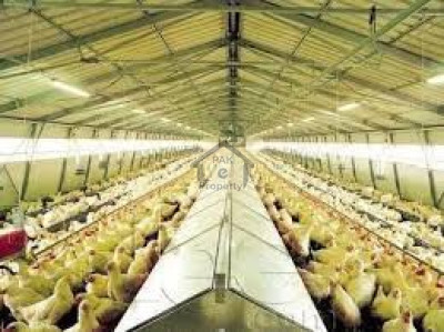 Company Bagh-Working Poultry Farm For Sale In Murree