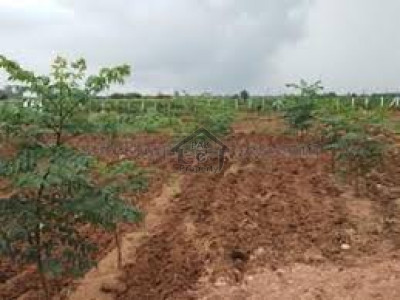 Khanpur Road-Cash Generating Investment Pwn A Fruit Farm In Taxila