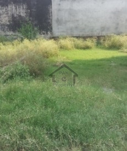 Top City - Block D,5 Marla Plot Is Available