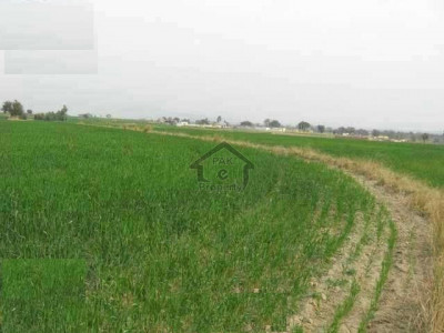40 Kanal-Commercial Land Is Available For Sale in Sahiwal