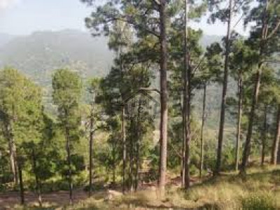 Kuldana Road, 10 MARLA PLOT IN GREEN MOUNTAINS