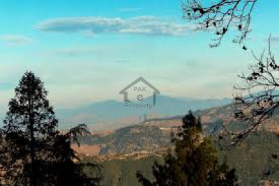 Bhurban, 7 Marla Plot For Sale