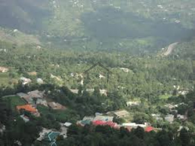 Bhurban, 7 Marla Plot For Sale