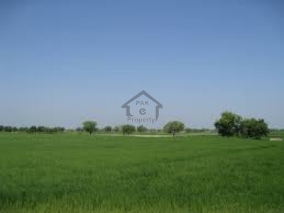 Ministry of Commerce Society,1 Kanal-Plot Available For Sale In Block C