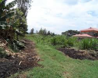 Korang Town,-1 Kanal - Plot Is Available For Sale