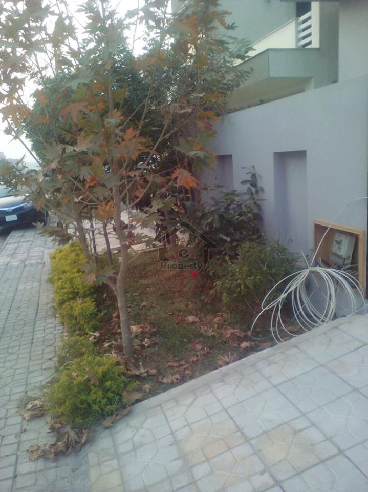 10 Marla house for Sale in DHA Phase II