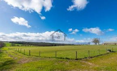 DHA Phase 8, - 2 Kanal - plot for sale.