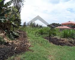 Residential Plot For Sale