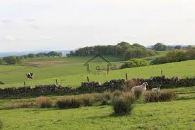 MPCHS - Block E,-13 Marla- Commercial Plot For Sale