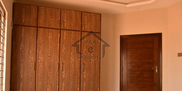 1000 Yards Outstanding Fully Furnished Bungalow For Rent In DHA Phase 6 - Only Reported Clients