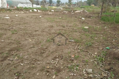 Low Cost - Block J,- 8 Marla - plot  For Sale.