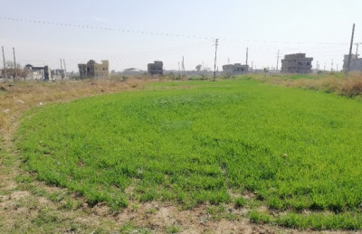 Bahria Town Phase 7,- 10 Marla - Plot For Sale.