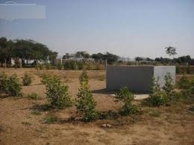 Bahria Town Phase 8 - Bahria Orchard,- 5 Marla Park face plot for sale.
