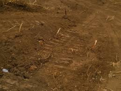 DHA Defence Phase 3, - 5 Marla  - Plot for sale .