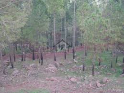 Main Mansehra Road, -7 Kanal - Commercial Plot Is Available For Sale in Abbottabad,