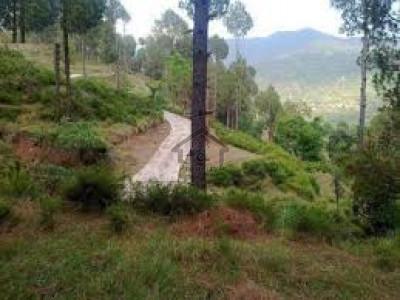 Main Mansehra Road, -7 Kanal - Commercial Plot Is Available For Sale in Abbottabad,