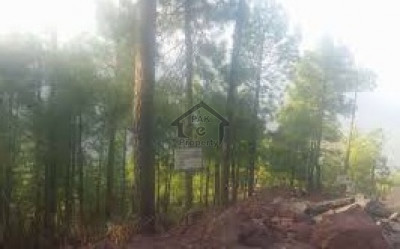 Main Mansehra Road,-1 Kanal - Residential Plot Is Available For Sale in Abbottabad,