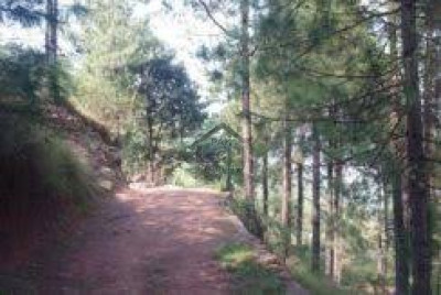 Abbottabad Heights Road,- 1 Kanal - Plot for sale in Abbottabad .