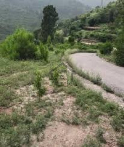 Abbottabad Heights Road, - 8 Kanal - Plot For Sale in Abbottabad.