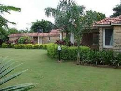 Jinnahabad - 1 Kanal - House for sale in abbottabad.