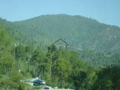Kaghan Colony, - 1 Kanal - plot  For Sale in Abbottabad.