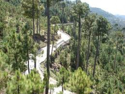 Jinnahabad, - 6 Marla - Plot Is Available For Sale  In Abbottabad .
