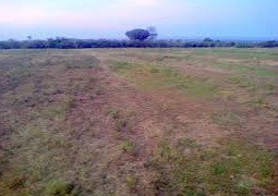Plot For Sale At Faisal Town Block B