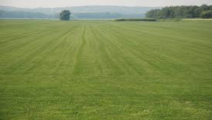 Plot For Sale In G-14/4