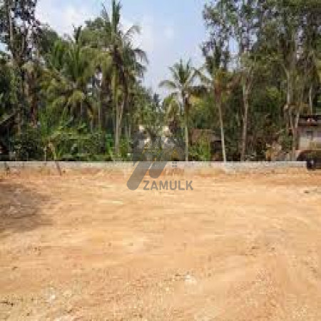 Pair Plot For Sale In I-11 2