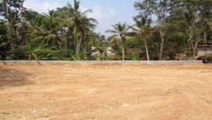 Pair Plot For Sale In I-11 2