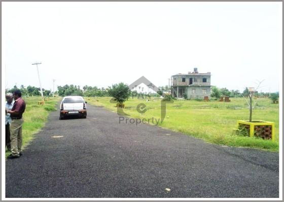 10 Marla Plot In Palm City On Easy Installments