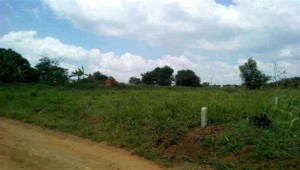 Plot For Sale In DHA Phase 6