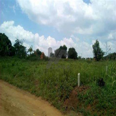 Plot For Sale In Zaraj Housing Scheme