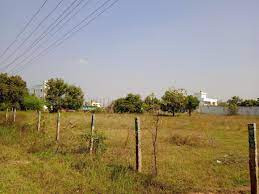 Plot For Sale In AGHOSH Phase 2