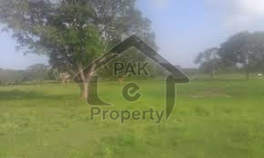 Commercial Plot Is Available For Sale