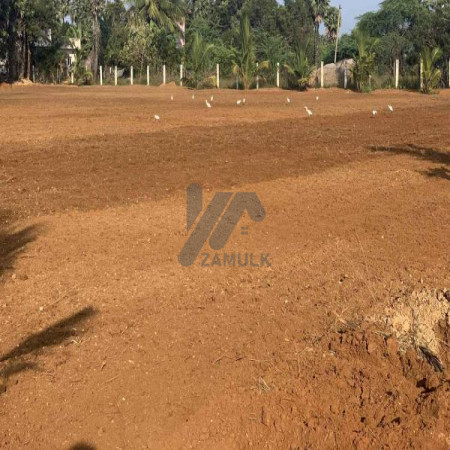 1 Kanal Plot For Sale In C-16