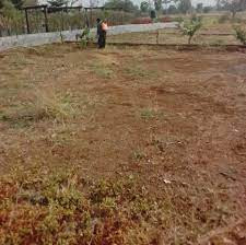 1 kanal Plot For Sale In Gulberg Residencia - Block E