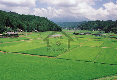 Residential Plot File Is Available For Sale