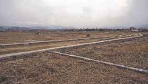 1.5 Kanal Plot For Sale In Jinnahabad