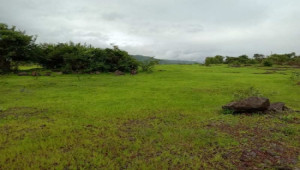 8 Kanal Agricultural Land For Sale In Bedian Road