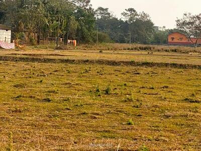4 Kanal Agricultural Land For Sale In Jahman