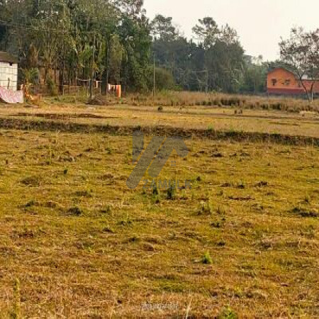 2 Kanal Agricultural Land For Sale In Jahman