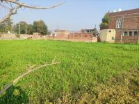 2 Kanal Plot For Sale In DHA Phase 6