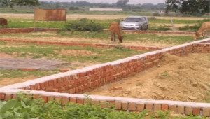 4 Marla Plot For Sale In Azam Basti