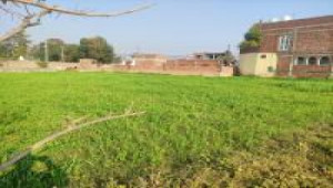 666 Square Yard Plot For Sale In DHA Phase 8