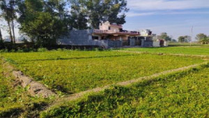 1 Kanal Plot For Sale In C-16