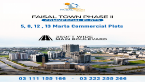 Faisal Town 13 Marla Commercial plot for sale