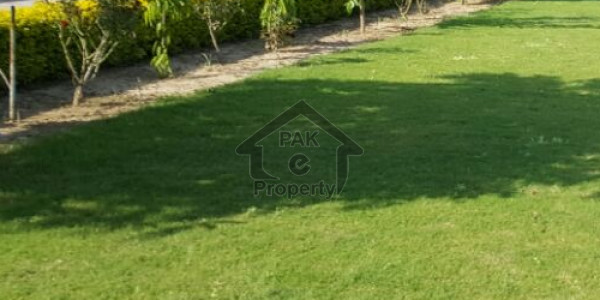 60x90 Residential Plot For Sale In Sector D18 ECHS Category B Street 45