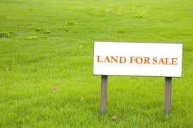 Agricultural Land Is Available For Sale